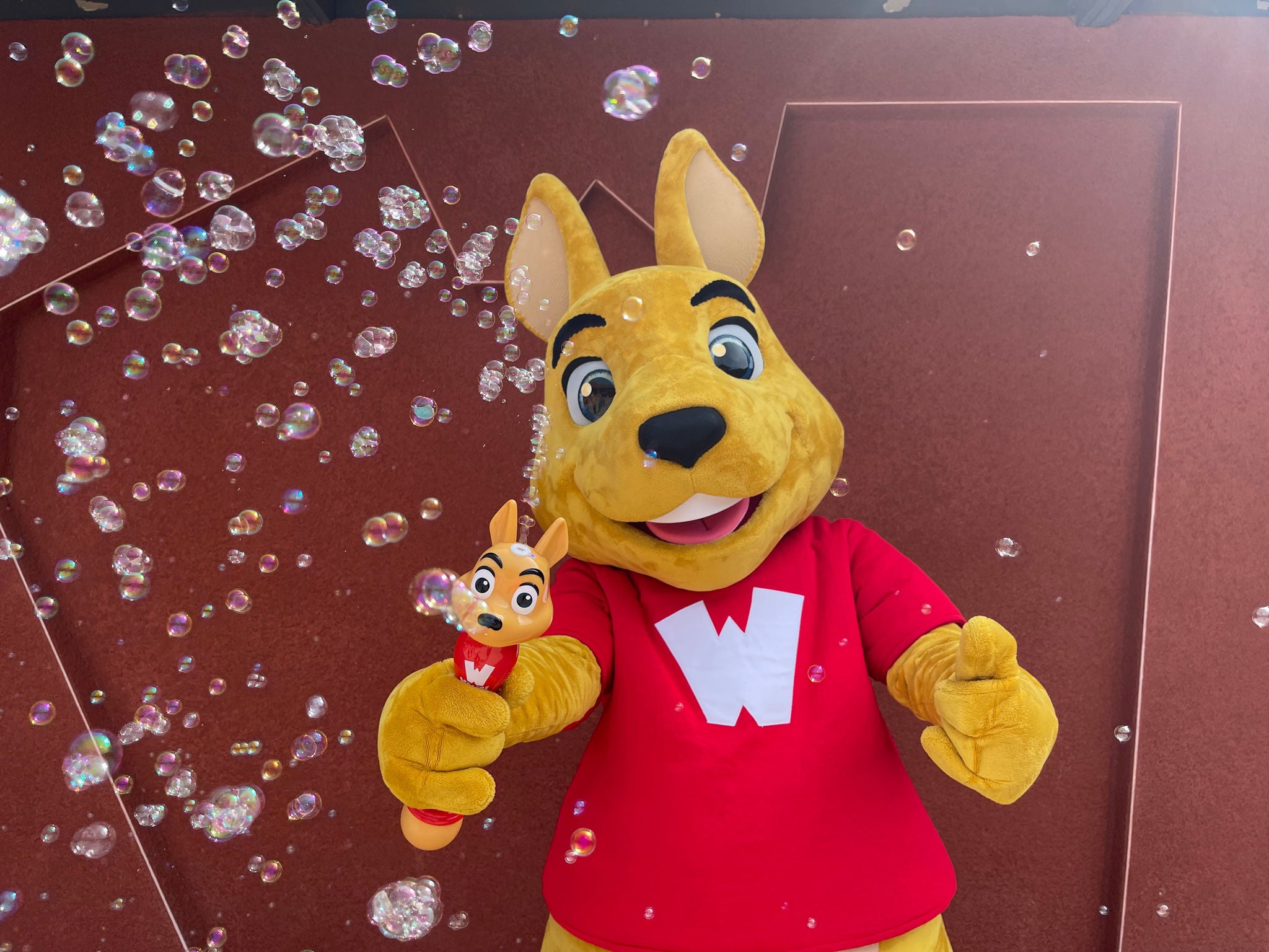 walibi avec bulles - ticket daté Walibi Rhône-Alpes