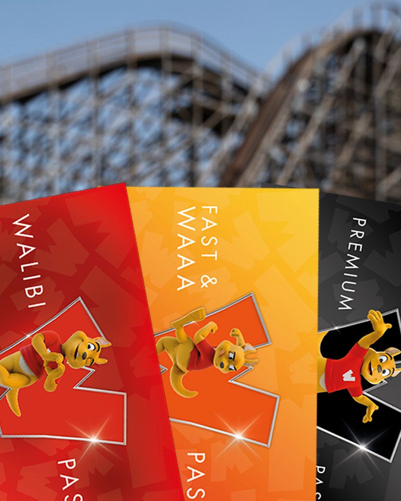 Pass pour parc d'attractions Walibi