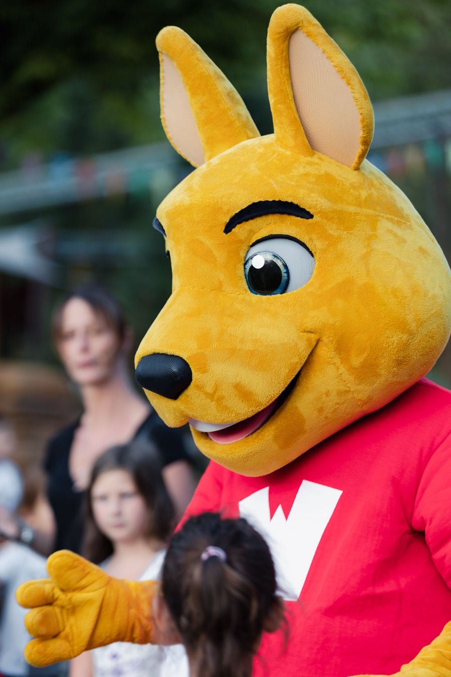 icône perte objet - walibi rhône-alpes