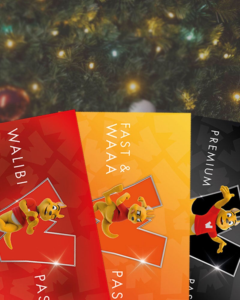 Pass pour parc d'attractions Walibi