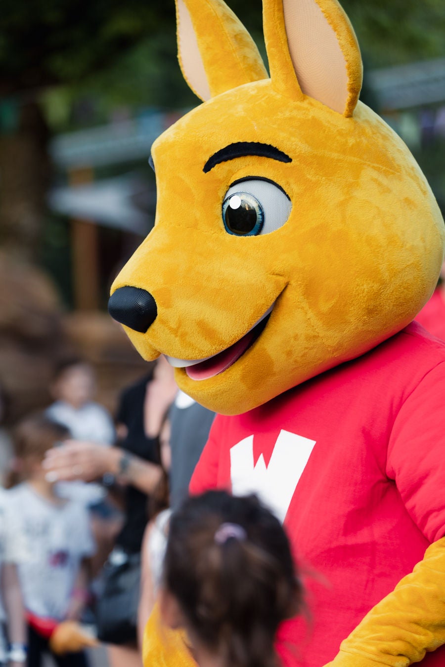 Rencontre avec Walibi 