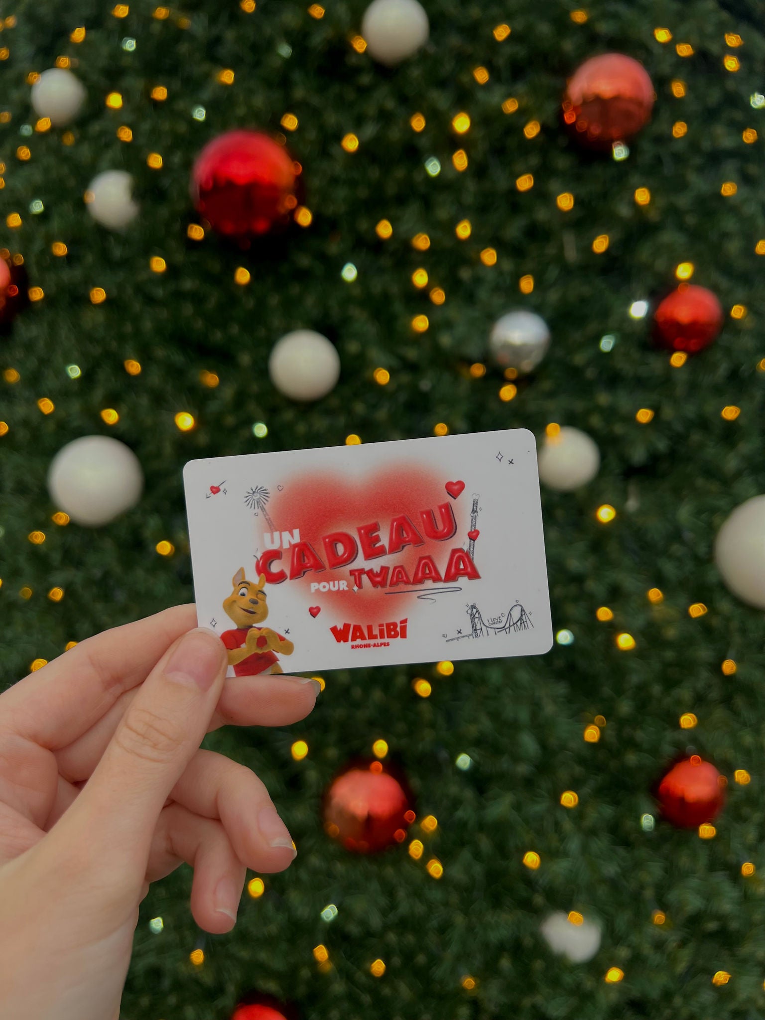 Carte cadeau Walibi Rhône-Alpes - Idée cadeau Noël