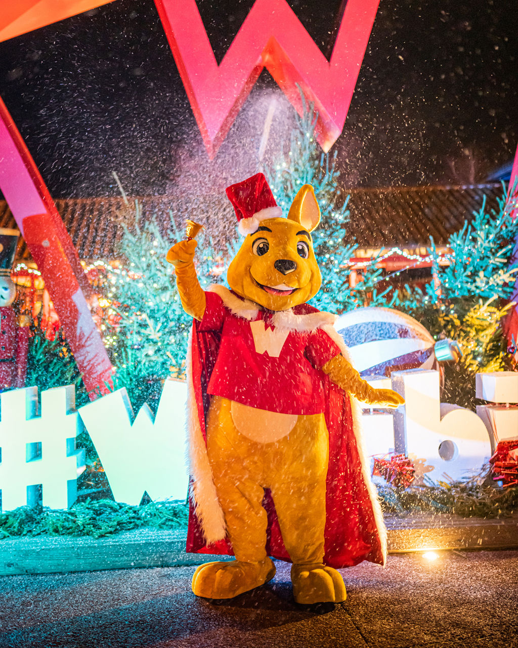 Ticket noël Walibi